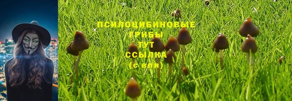 марки lsd Беломорск