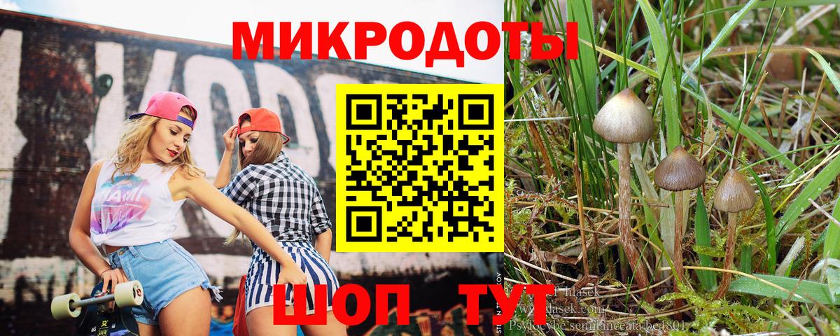 Галлюциногенные грибы ЛСД Буйнакск