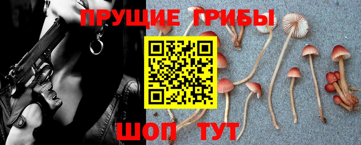 Буйнакск  Псилоцибиновые грибы мицелий  Вход с VPN 